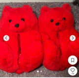 Bear house shoes